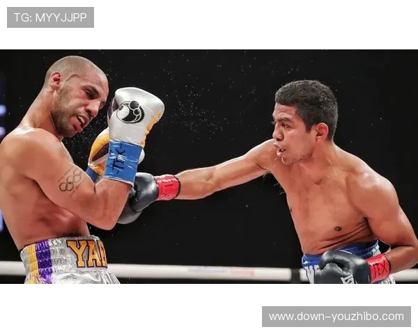 丹尼加西亚第四回合左勾拳击倒冈萨雷兹完美收官职业生涯